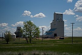 Woodrow grain elevators