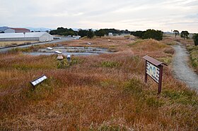 Yayoi Park of Tamura Site.jpg