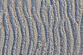 * Nomination Hoar frost on the beach of Zeebrugge (Belgium) -- MJJR 20:56, 9 February 2009 (UTC) * Decline Blurred corners, great texture though. --Coyau 21:31, 15 February 2009 (UTC)