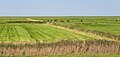 Zeedijk Marrum. Zicht vanaf de zeedijk richting wadden.