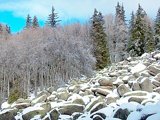 Zlatnite Mostove