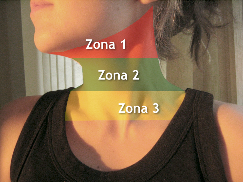 File:Zonas 1.png