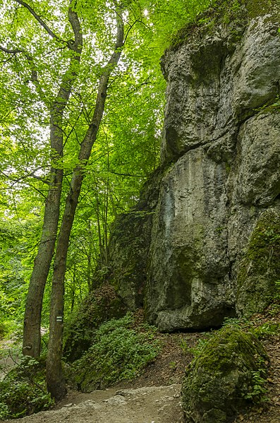 File:Zwierzyniec, Kraków, Poland - panoramio (159).jpg