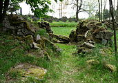 Čeština: Zbytky márnice na židovském hřbitově u vsi Olšany v okrese Jindřichův Hradec, Jihočeský kraj. English: Ruins of the mortuary in the Jewish cemetery by the village of Olšany, Jindřichův Hradec District, South Bohemian Region, Czech Republic.