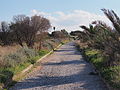 * Nomination The pathway on top the walls of Heraklio, Crete. --C messier 12:11, 17 January 2015 (UTC) * Promotion Good quality. --Jacek Halicki 13:26, 17 January 2015 (UTC)