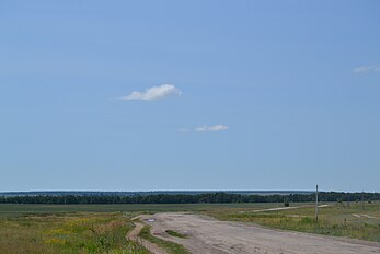 Дорога в деревню