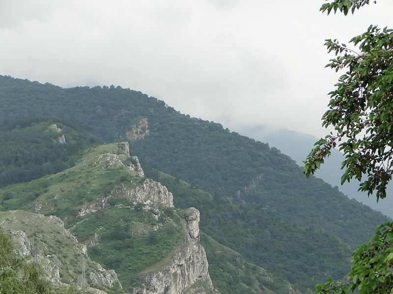 File:Кричим - panoramio (5).jpg