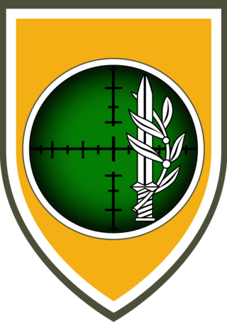 <span class="mw-page-title-main">Combat Intelligence Collection Corps (Israel)</span> Military unit