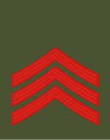 03-Montenegro Army-JSG.svg
