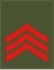 03-Exército de Montenegro-JSG.svg