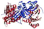 Thumbnail for 4-Hydroxyphenylpyruvate dioxygenase