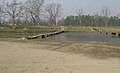 Bridge to the Elephant breating Center in Sauraha