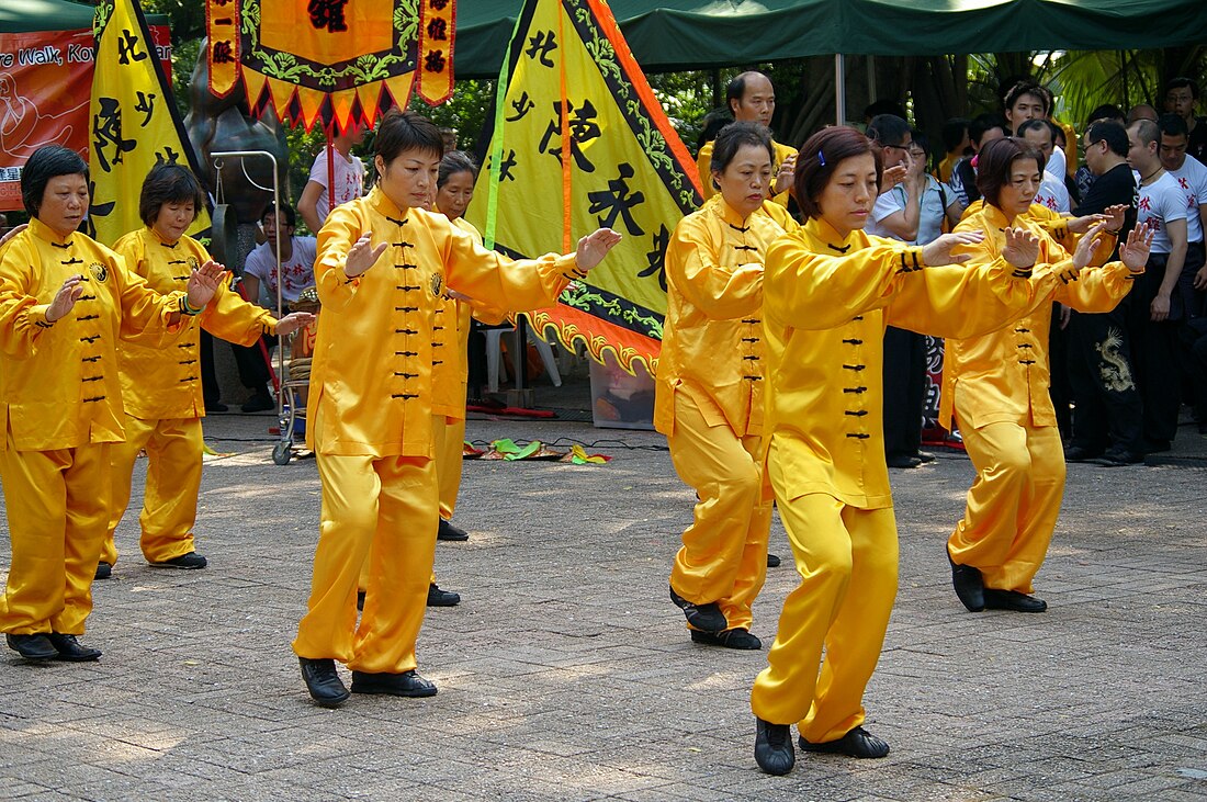 陳氏太極拳