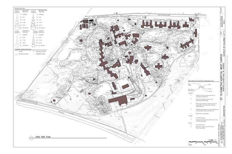 File:2009 Tree plan - St. Elizabeths Hospital West Campus, 2700 Martin Luther King Jr. Avenue, Southeast, Washington, District of Columbia, DC HALS DC-11 (sheet 6 of 7).tif