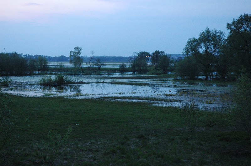 File:2011 Łomża, Narew - panoramio.jpg