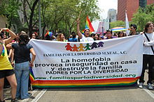Familias por la Diversidad Sexual, the banner reads: "Homophobia provokes instability (alternative, insecurity) at home and destroys the family". 2012MarchaGay73.JPG