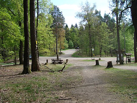 2014 Pfälzerwald 075 Lolosruhe