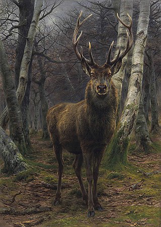 <i>King of the Forest</i>