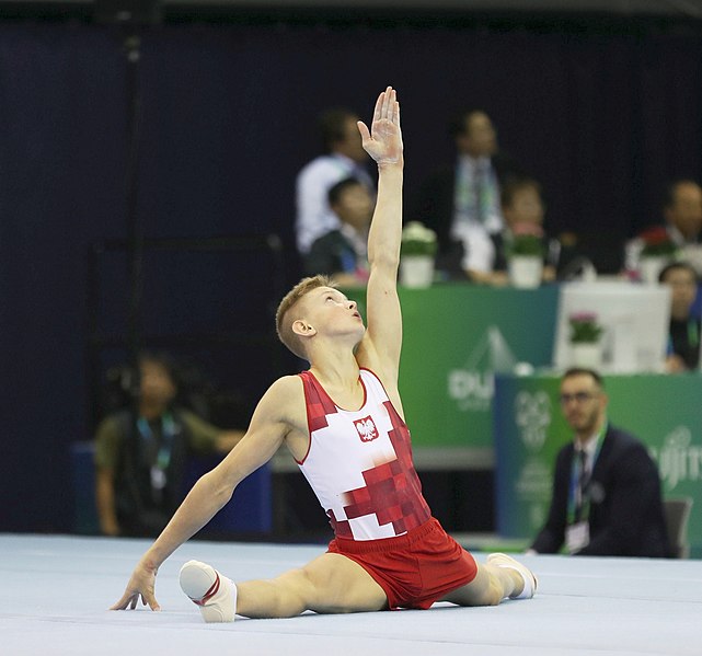 File:2019-06-27 1st FIG Artistic Gymnastics JWCH Men's All-around competition Subdivision 3 Floor exercise (Martin Rulsch) 342.jpg