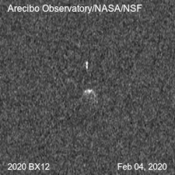 2020 년 BX12의 레이더 이미지는 구형 소행성 주위를 공전하는 작고 길쭉한 위성을 보여줍니다.