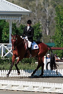 Sue-Ellen Lovett at the 2000 Paralympics, Sydney 301000 - Equestrian Sue-Ellen Lovett dressage action 2 - 3b - 2000 Sydney event photo.jpg