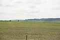 3976 Fields in Podlaskie Voivodeship, May 2019.jpg