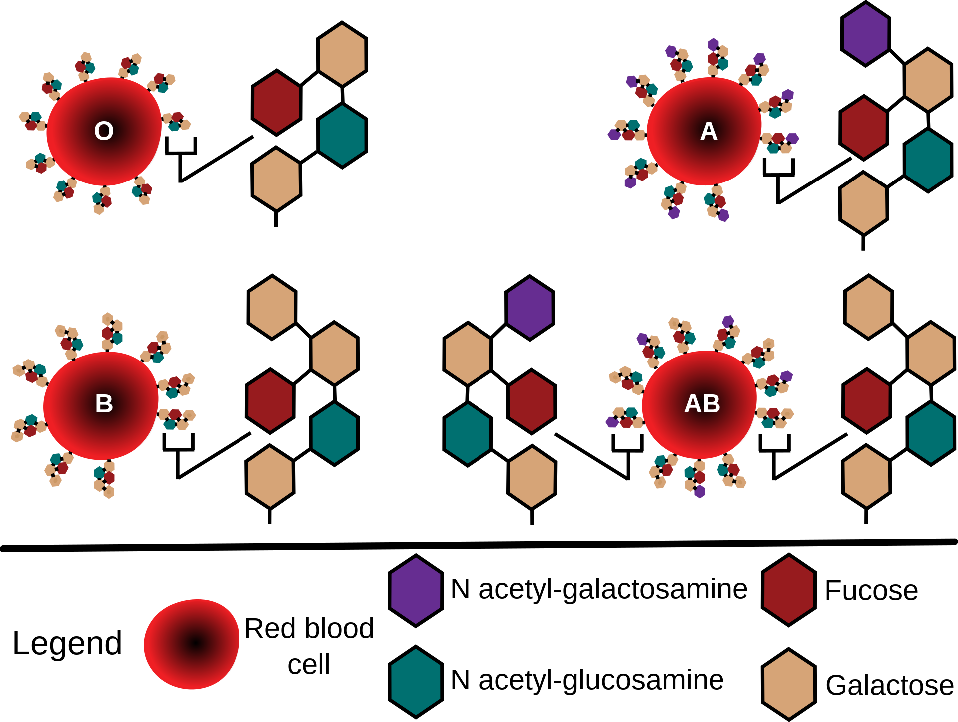 Four Blood Types