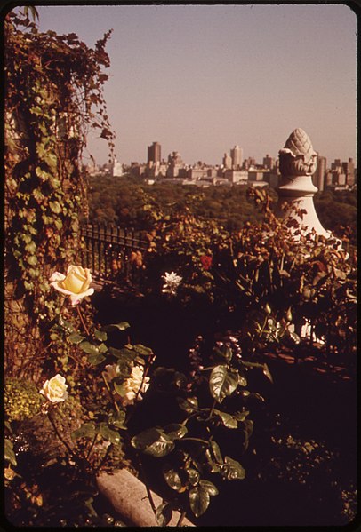 File:ANTIQUE POTTERY SETS OFF ELEGANT HYBRID ROSES AND OTHER FLOWERING PLANTS ON THIS PENTHOUSE TERRACE AT CENTRAL PARK... - NARA - 551756.jpg