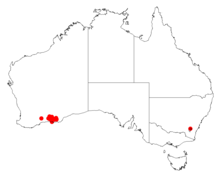 Acacia glaucissimaDistMap390.png