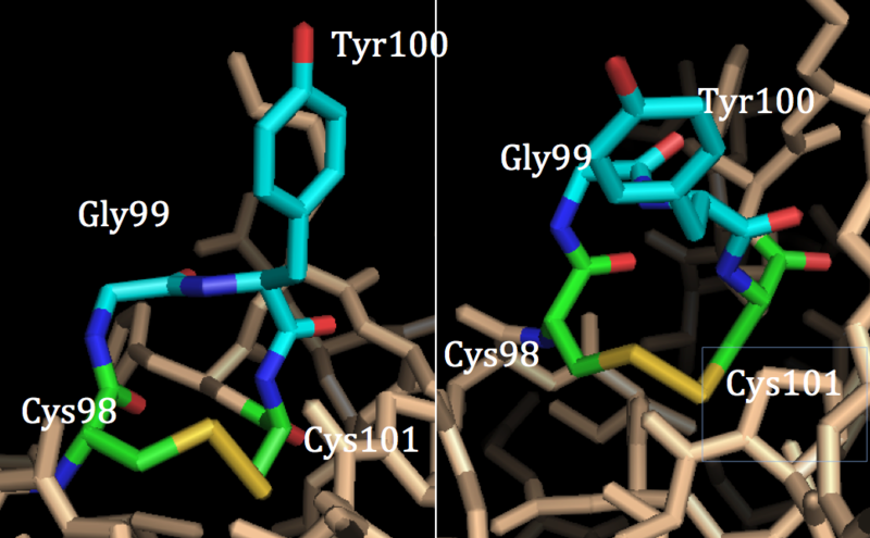 File:Active site of DsbC.png