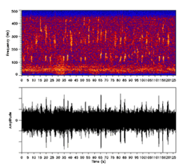Two spectral images with X axis being time. In one, the Y axis is frequency and there is a complicated pattern in the 10–450 Hz region. In the other, the Y axis is amplitude, which is largely constant but with many small spikes.