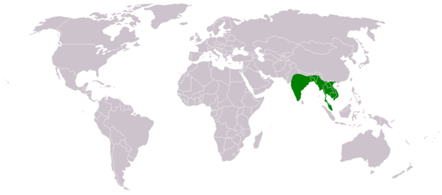 Description de l'image Albizia-lebbeck-range-map.png.