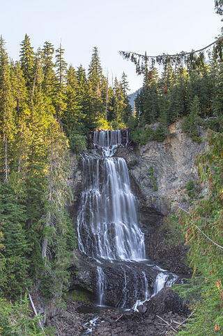 <span class="mw-page-title-main">Alexander Falls</span> Waterfall in Near Whistler