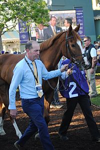 Alice Springs (horse)