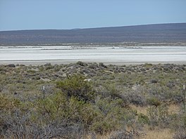 Alkali Lake, en tørr innsjø i Lake County, Oregon