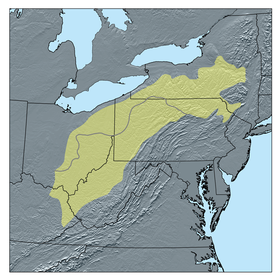 Karte des Allegheny-Plateaus: Die graue Linie trennt den vergletscherten Teil (N) vom nicht vergletscherten Teil (S) des Plateaus.
