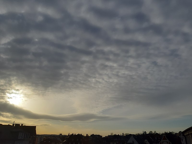 File:Altocumulus stratiformis, am Rand in Altocumulus lenticularis übergehend II.jpg