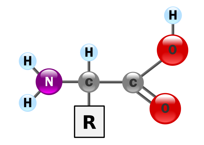 En generell aminosyra