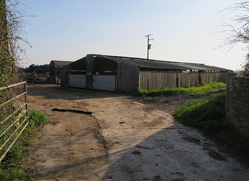 File:Animal shed, Lower Godney - geograph.org.uk - 5397085.jpg