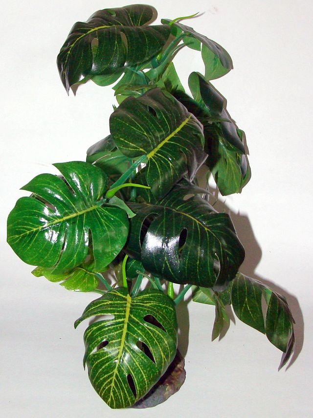 Plante artificielle — Wikipédia