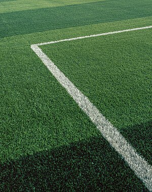 Artificial turf at a stadium.jpg