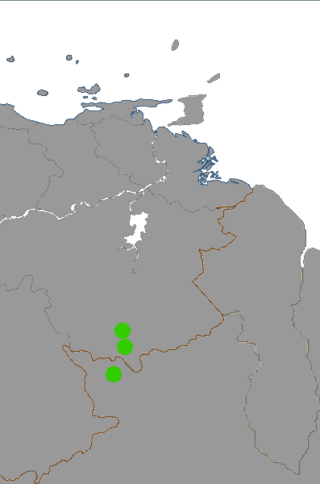 <span class="mw-page-title-main">Arutani–Sape languages</span> Proposed language family