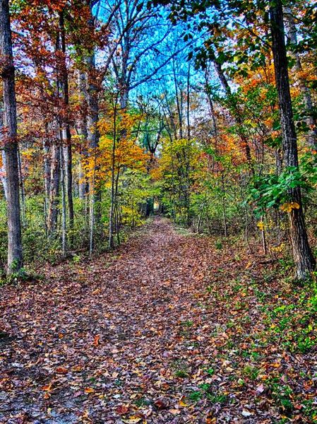 File:Autumn colors at Gettysburgh.jpg