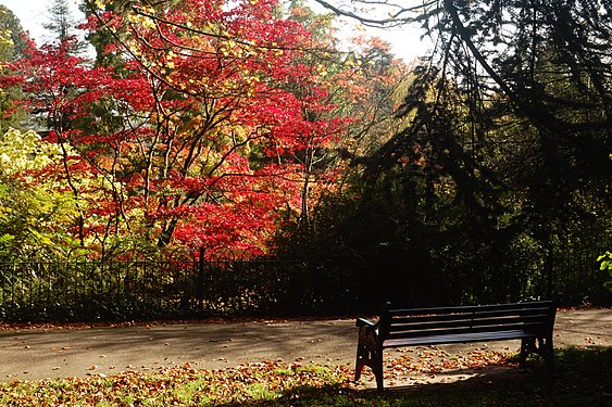 Autumn in Belle Vue Park, Newport, Wales