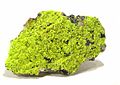 Autunite (minerai [phosphate d'uranium et de calcium] dont la localité-type est Autun) 2