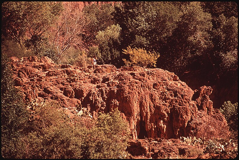 File:BATHERS ENJOY THE HAVASU FALLS AREA. OWNED BY THE NATIONAL PARK SERVICE (THOUGH IT IS ON THE HAVASUPAI RESERVATION)... - NARA - 544341.jpg