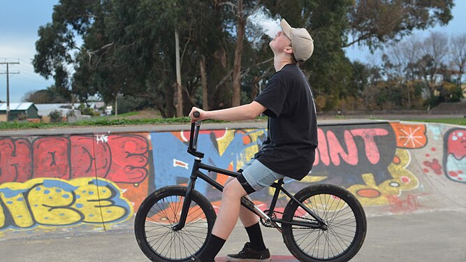 BMX rider at a skatepark in New Zealand