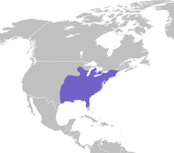 Baeolophus bicolor map.svg