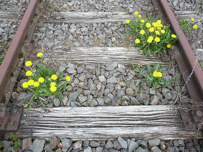 File:Bahnhofsdenkmal Wipperfuerth 12.jpg