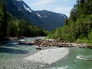 <span class="mw-page-title-main">Baker River (Washington)</span> River in Washington, United States